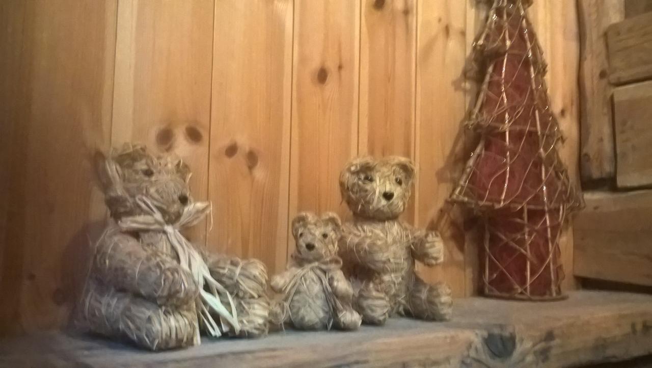Gite Du Bois De L'Ours Орсьер Экстерьер фото